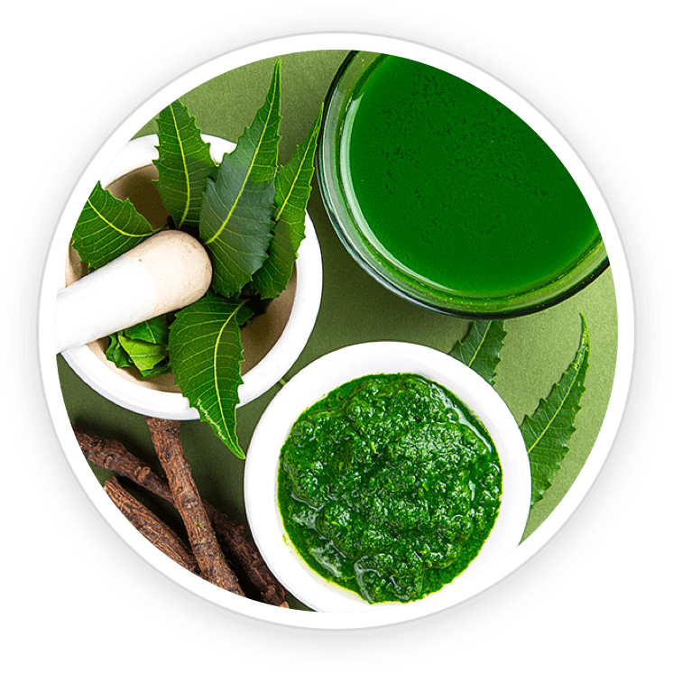 Neem- PotentStream Ingredient